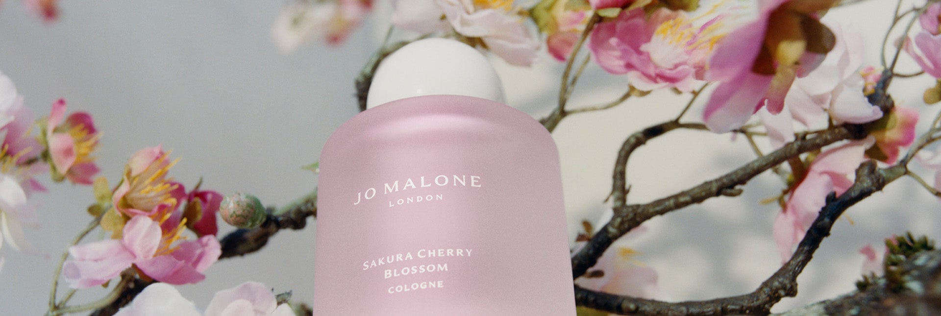 Sakura Cherry Blossom 2023 - Collections | ジョー マローン ロンドン