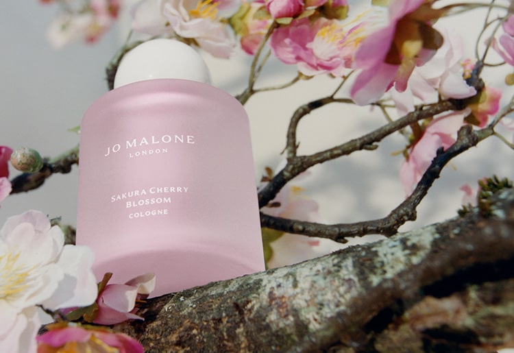 Sakura Cherry Blossom - Collections | ジョー マローン ロンドン